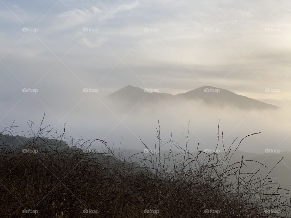 A early morning hike in O’Neill Regional Park with fog rolling in over the mountains.