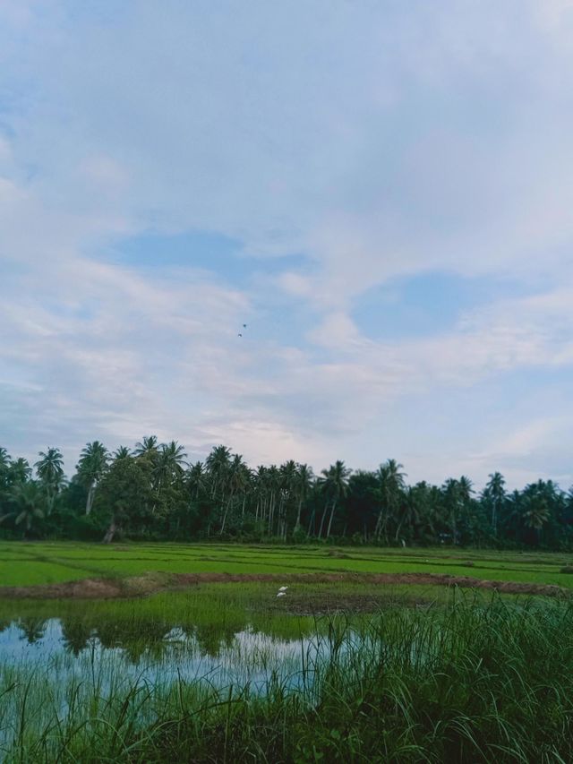 beautiful cloud