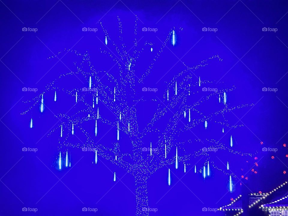 tree with light 