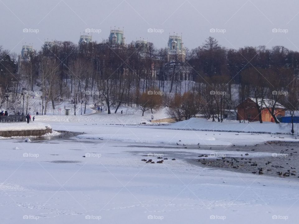 Winter, Snow, Cold, Frozen, Weather