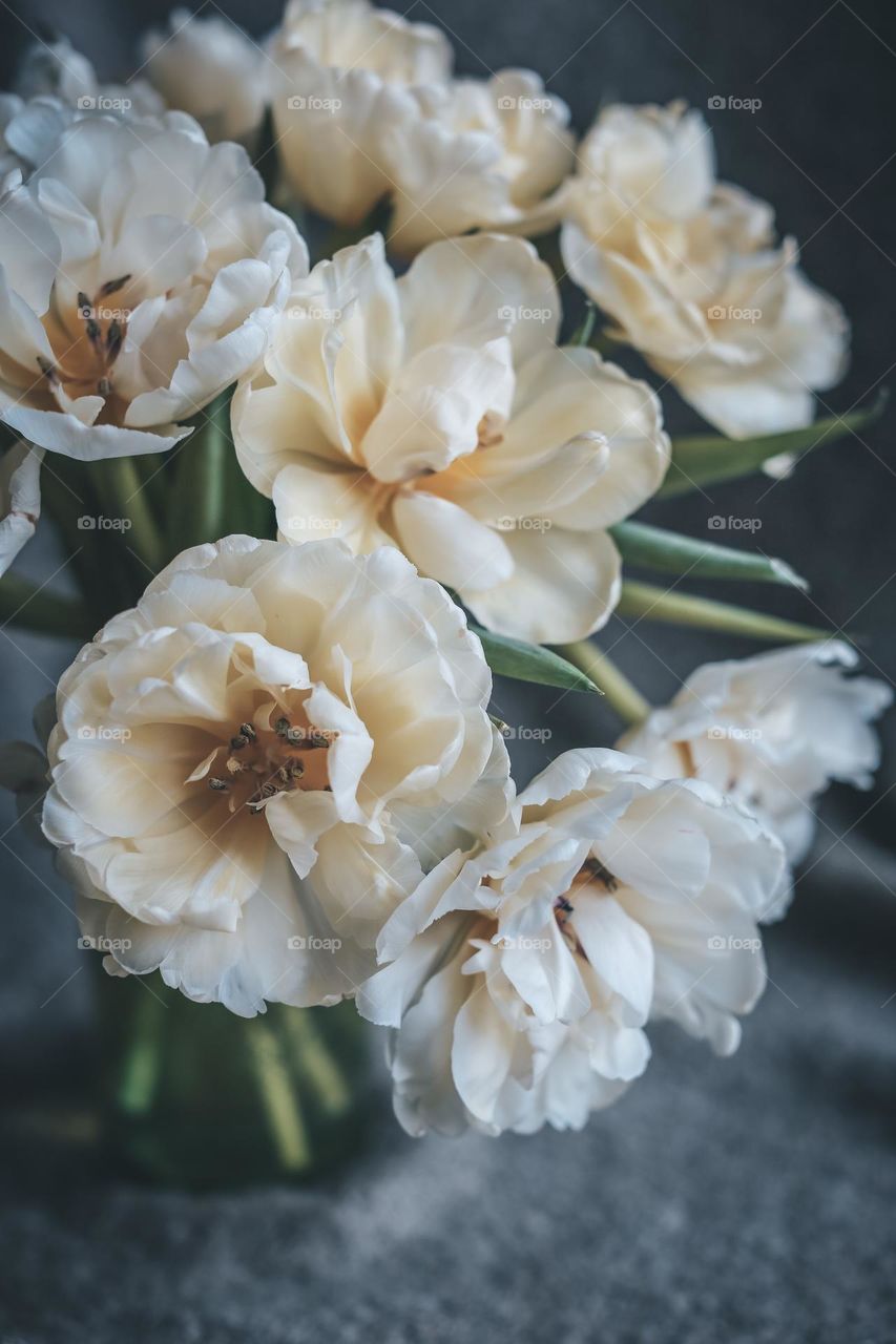 white tulips in a vase on the table