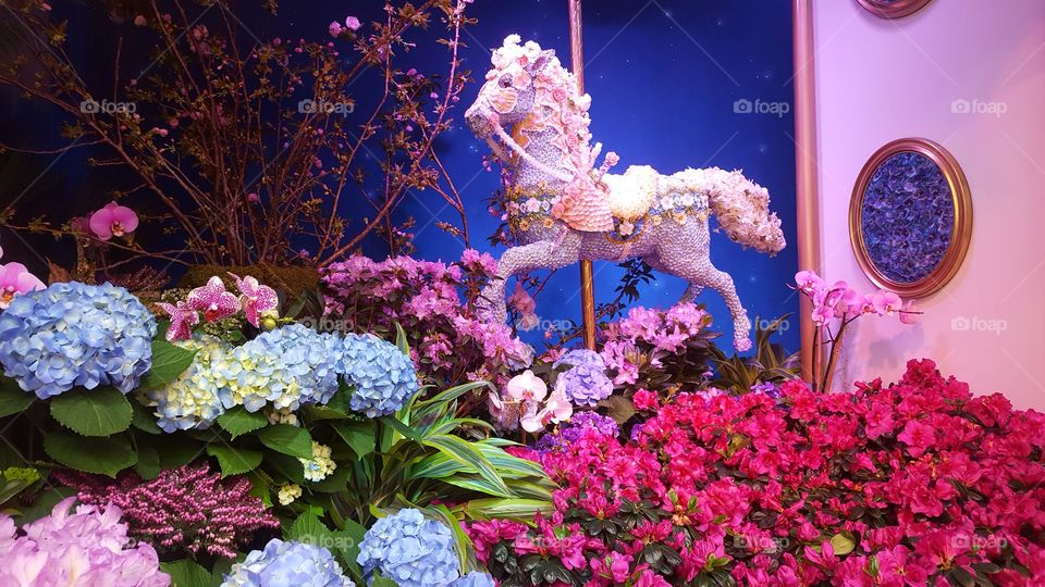 floral carousel horse in Macy's display window for carousel theme