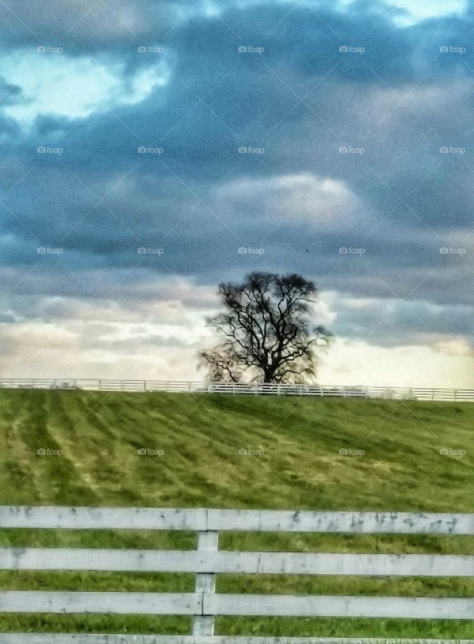 Grassy land against cloudy sky