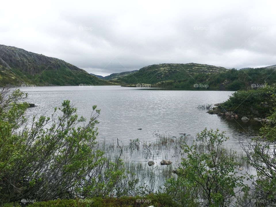 River landscapes in Russian tundra 