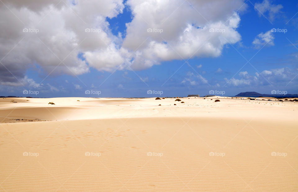 amazing sand dunes. Corralejo fuerteventura