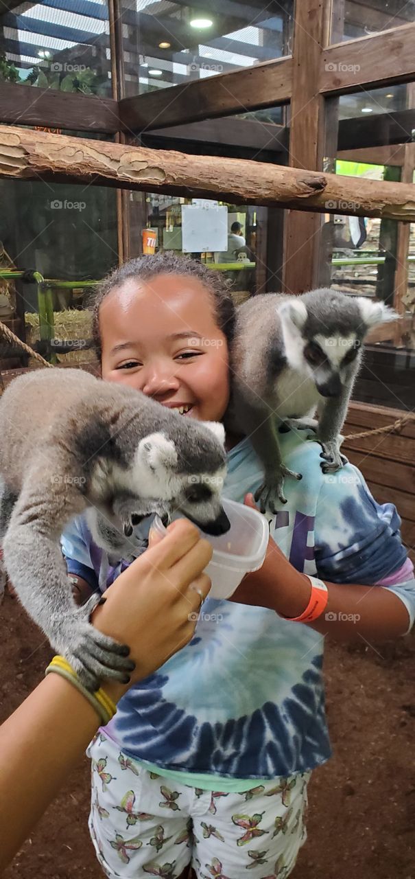 2 Lemurs on my daughters shoulder!