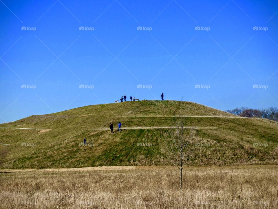 Big sledding hill