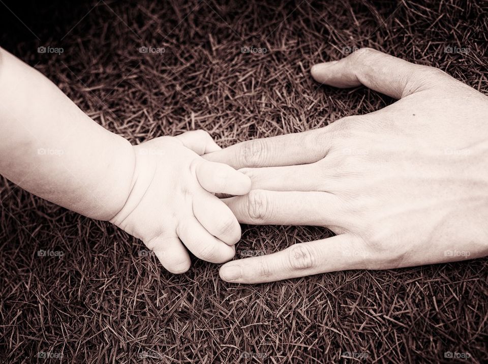 Baby's and mother's hand in grass