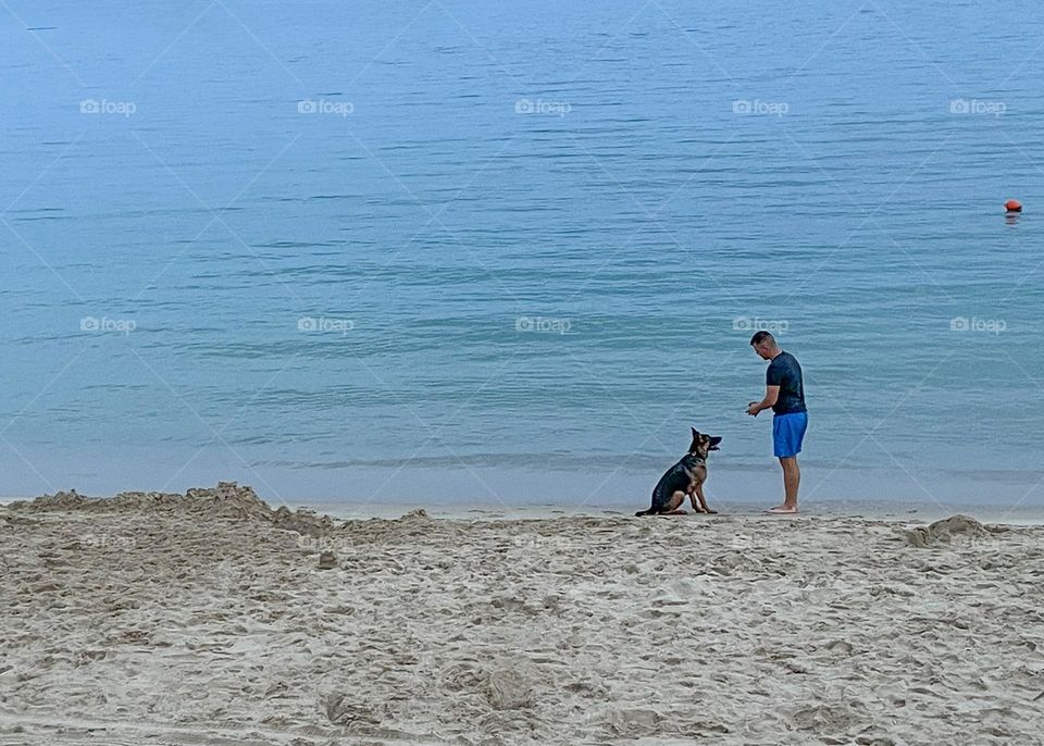Man Walking Dog on the Beach