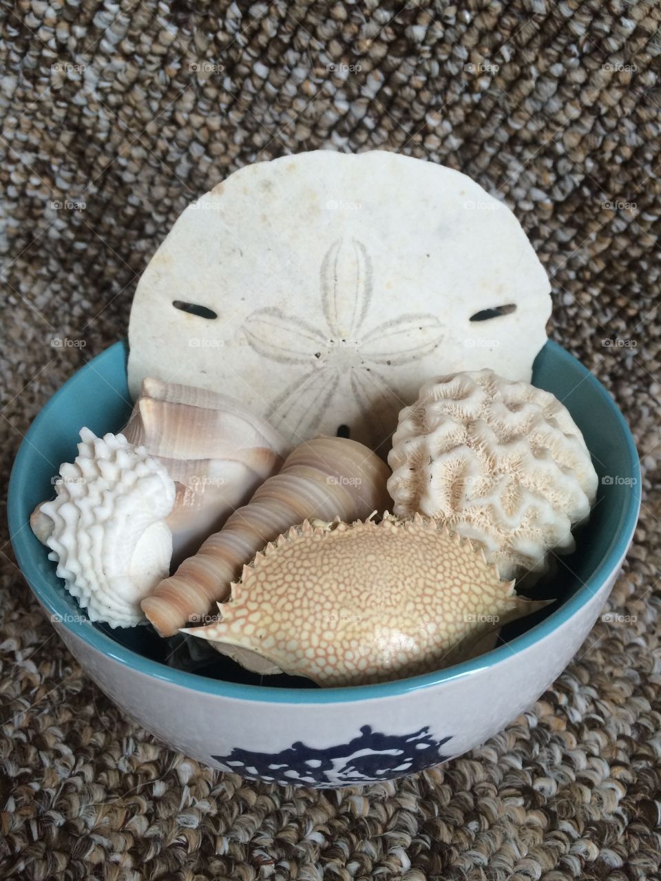 Sea shells in white bowl