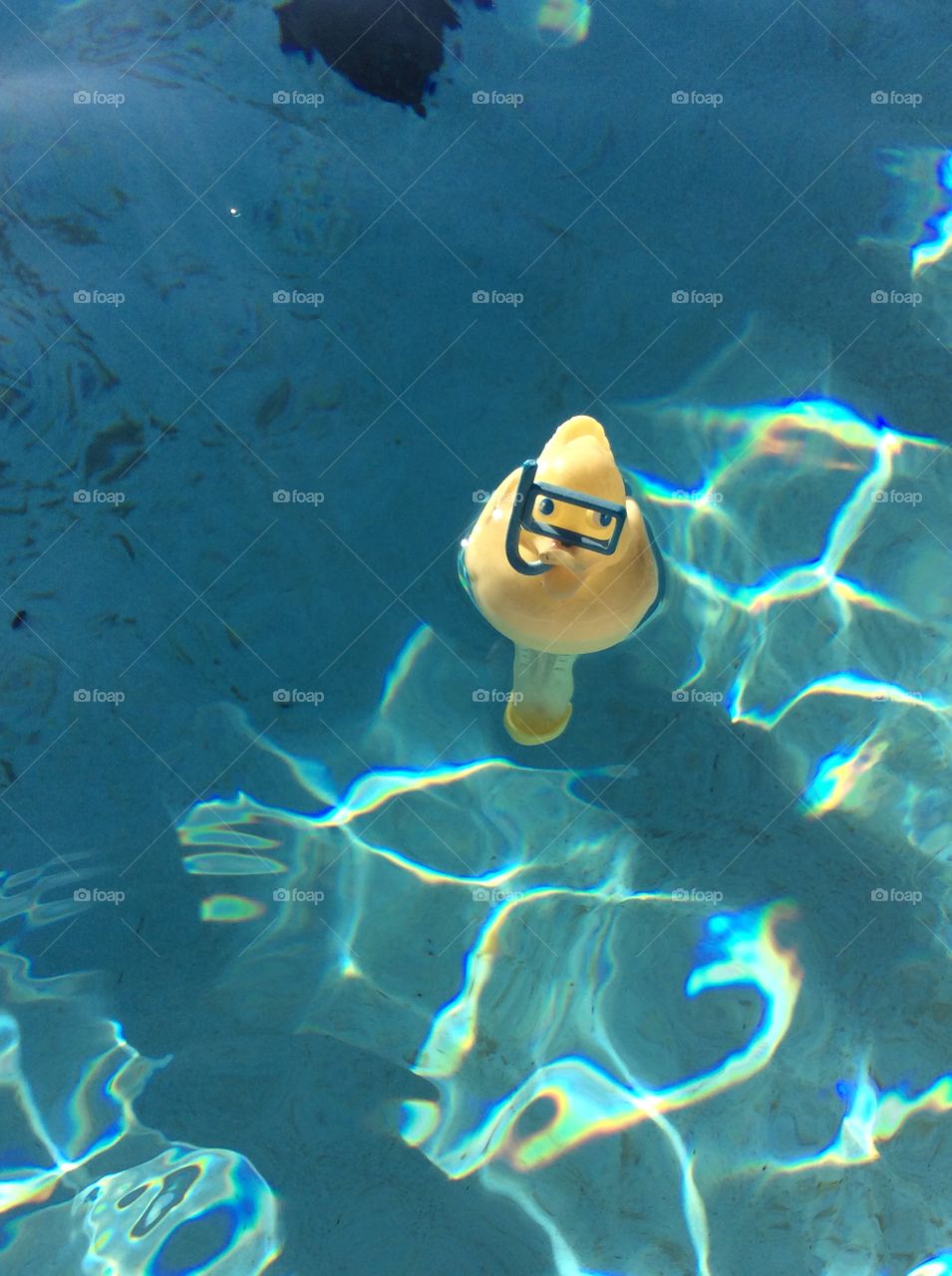 Summer Pool Humor -Diving Ducky
