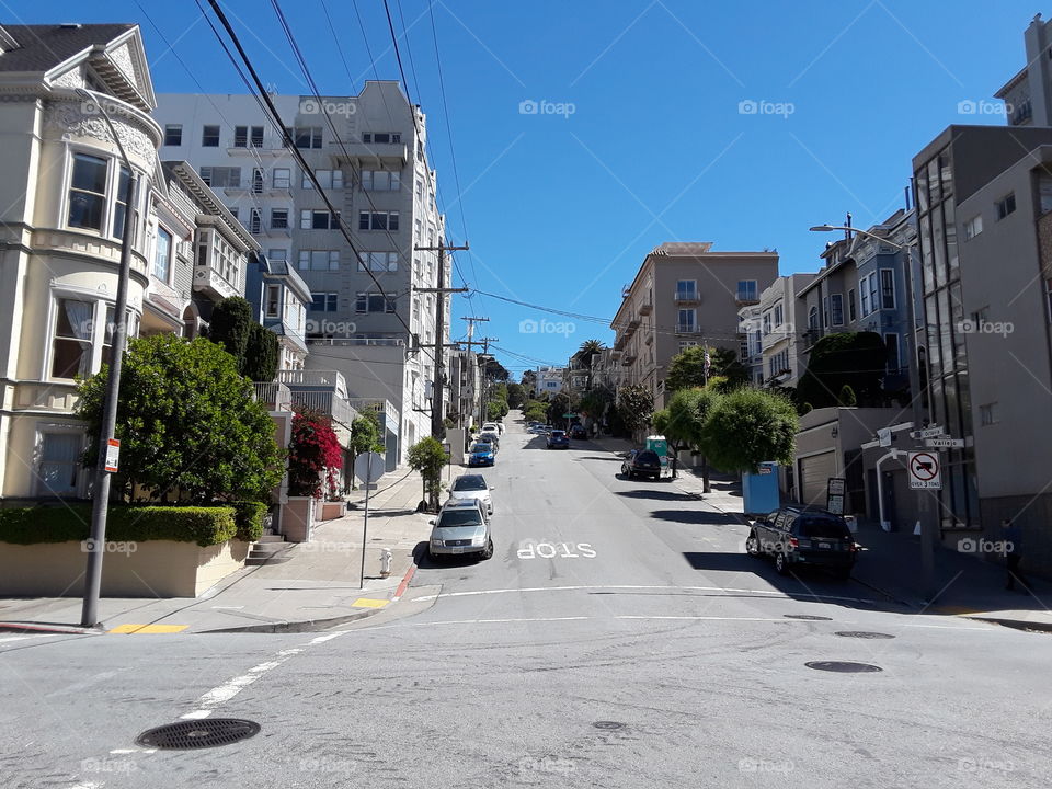 Pacific Heights San Francisco California