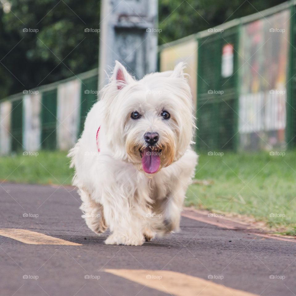 It’s spring and we love it