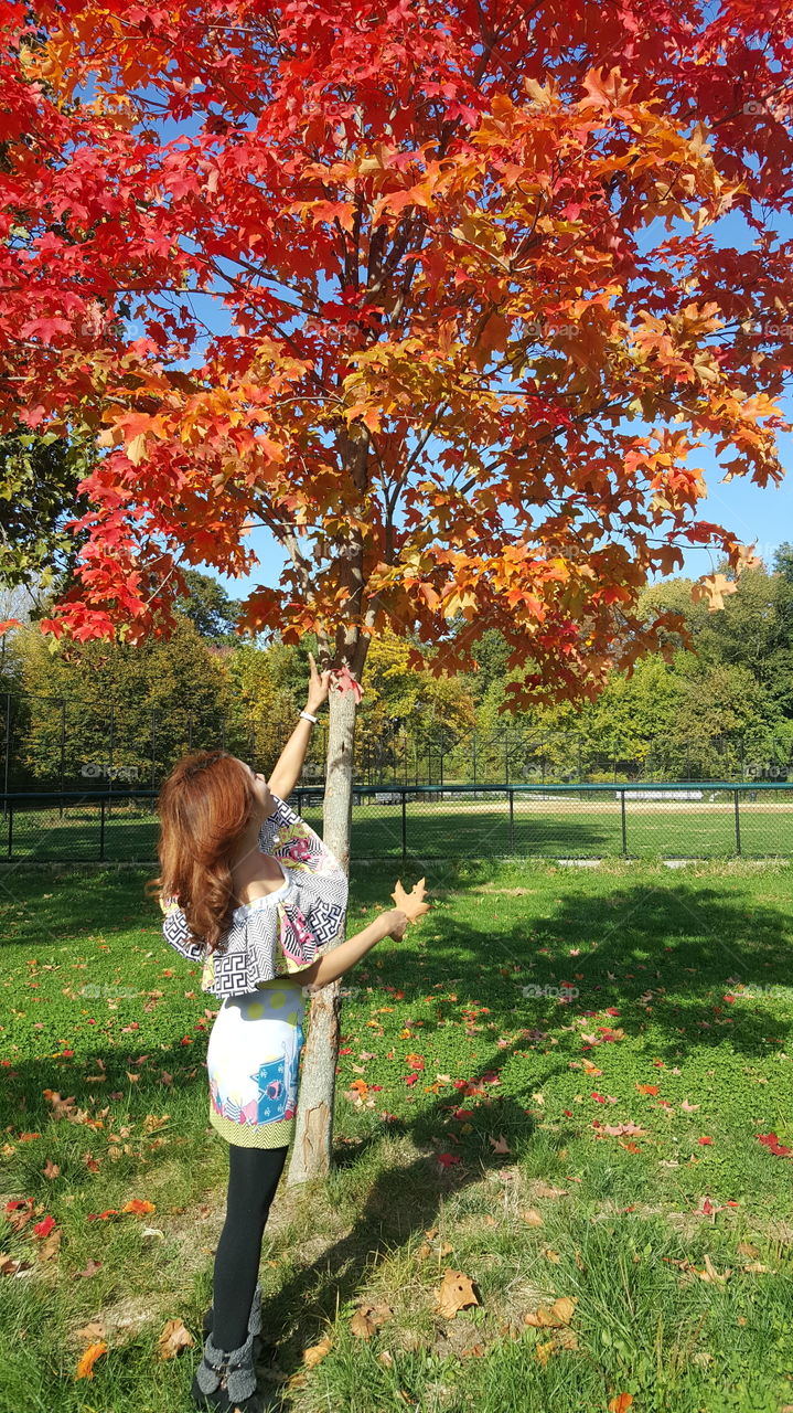 Autumn in New York City. 🍁🍂🍁🍂🍂