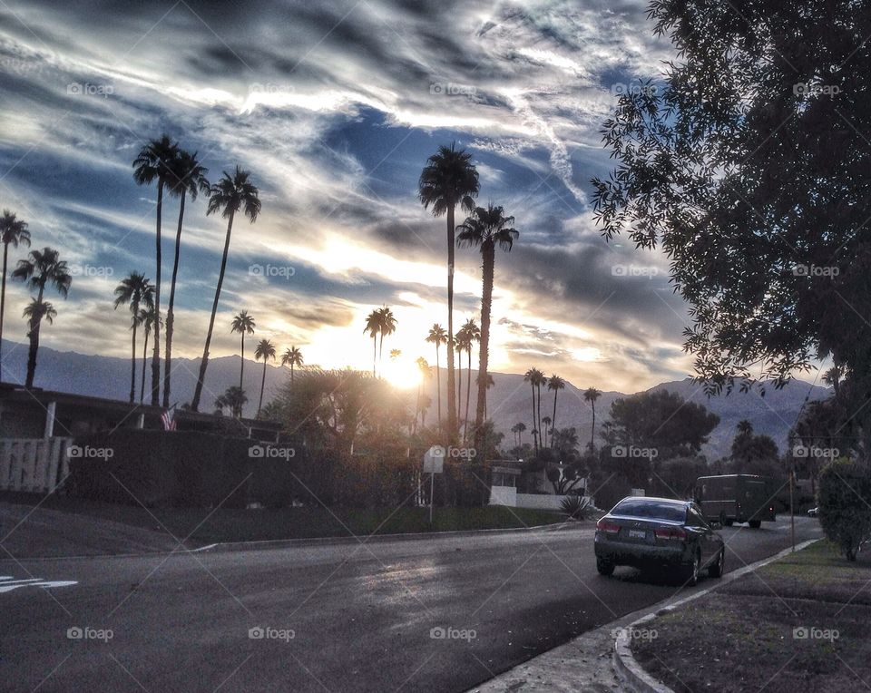 Palm Springs Sunset. Sunset sky with palm trees