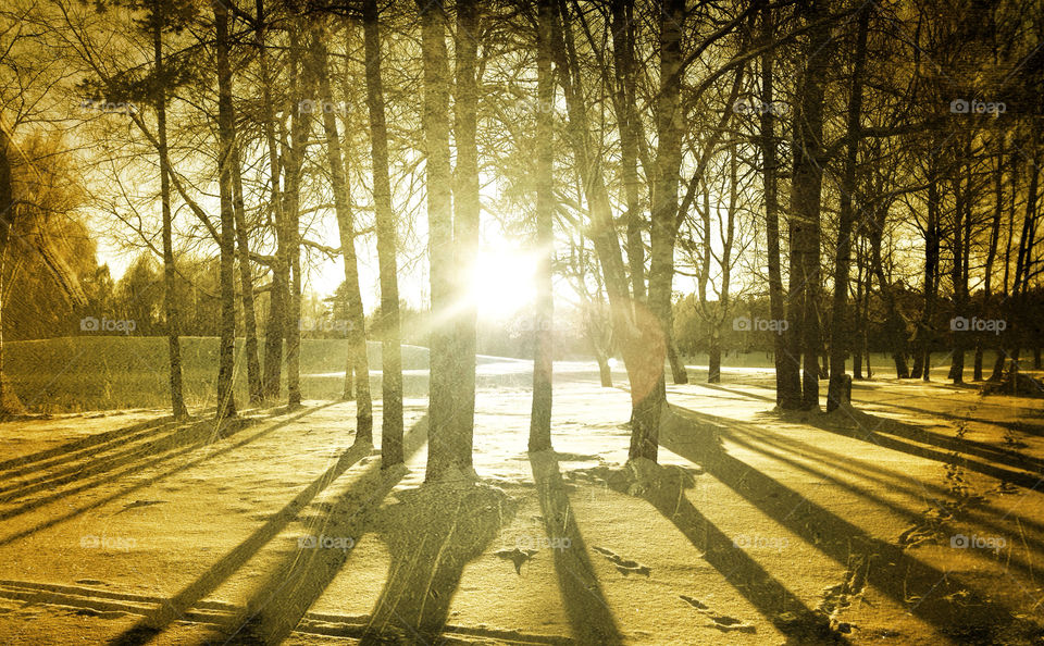 snow sweden light vintage by PhilleG