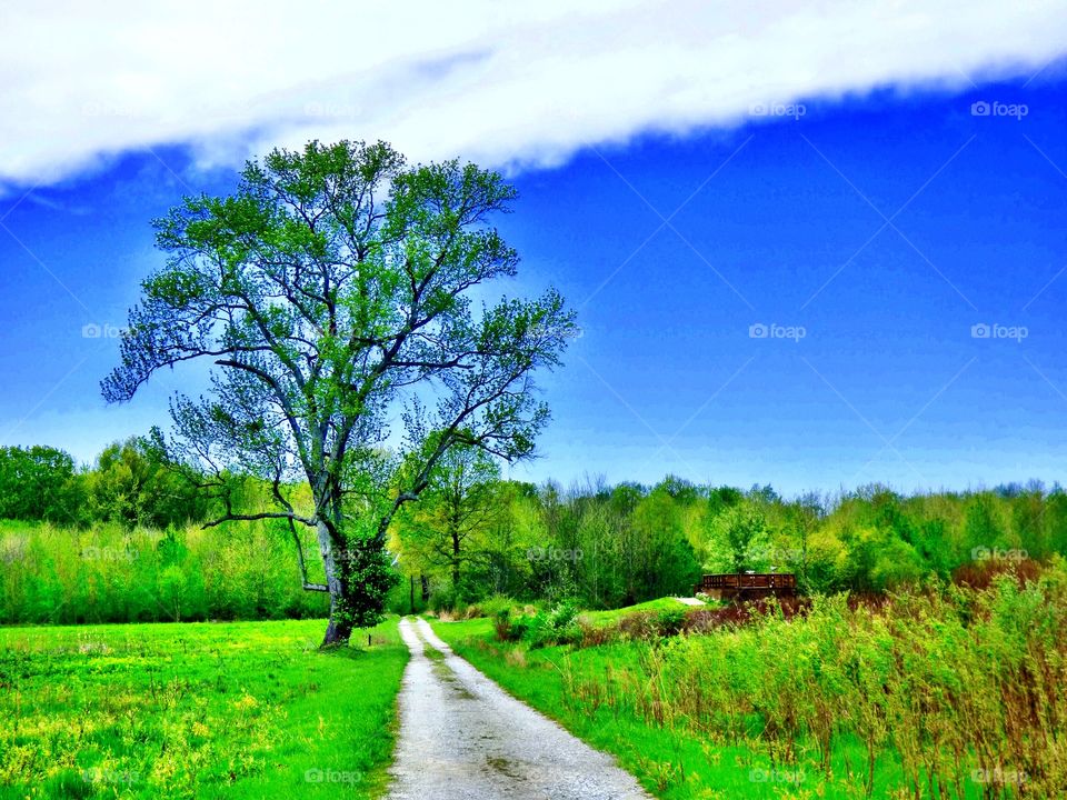Hiking in Indiana at Muscatatuck national nature preserve 