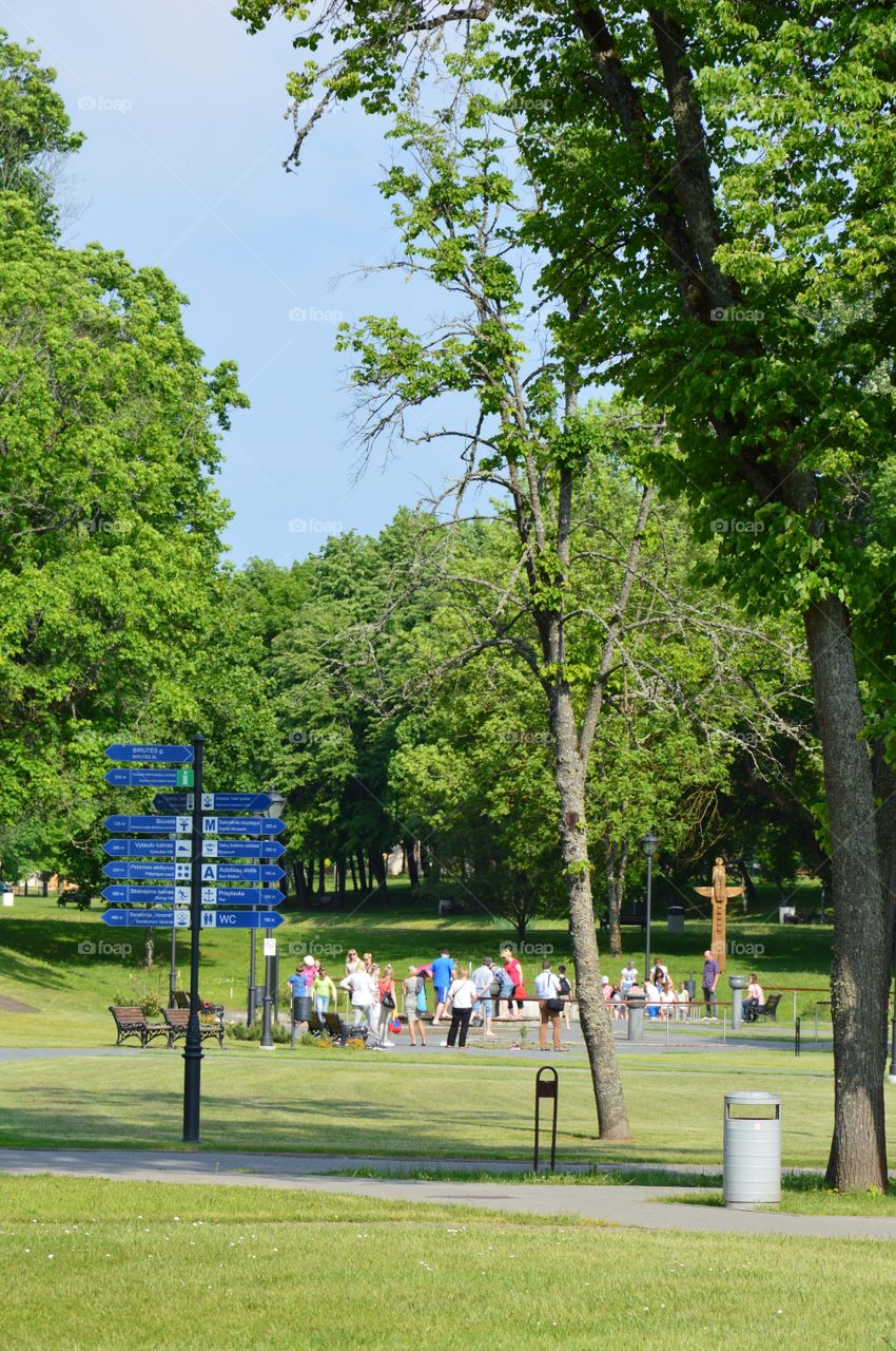 people at park