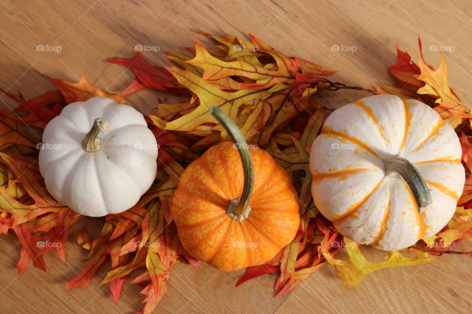 3 little Pumpkins 