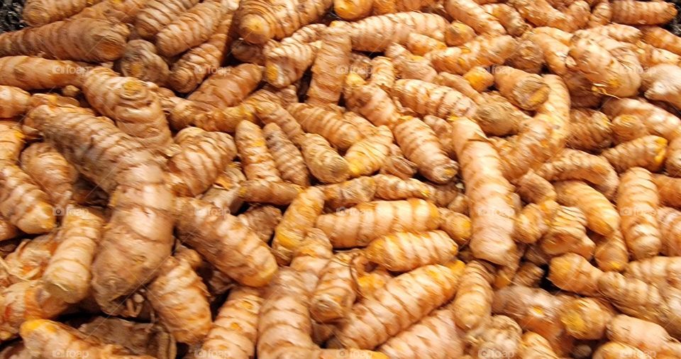 Curcuma