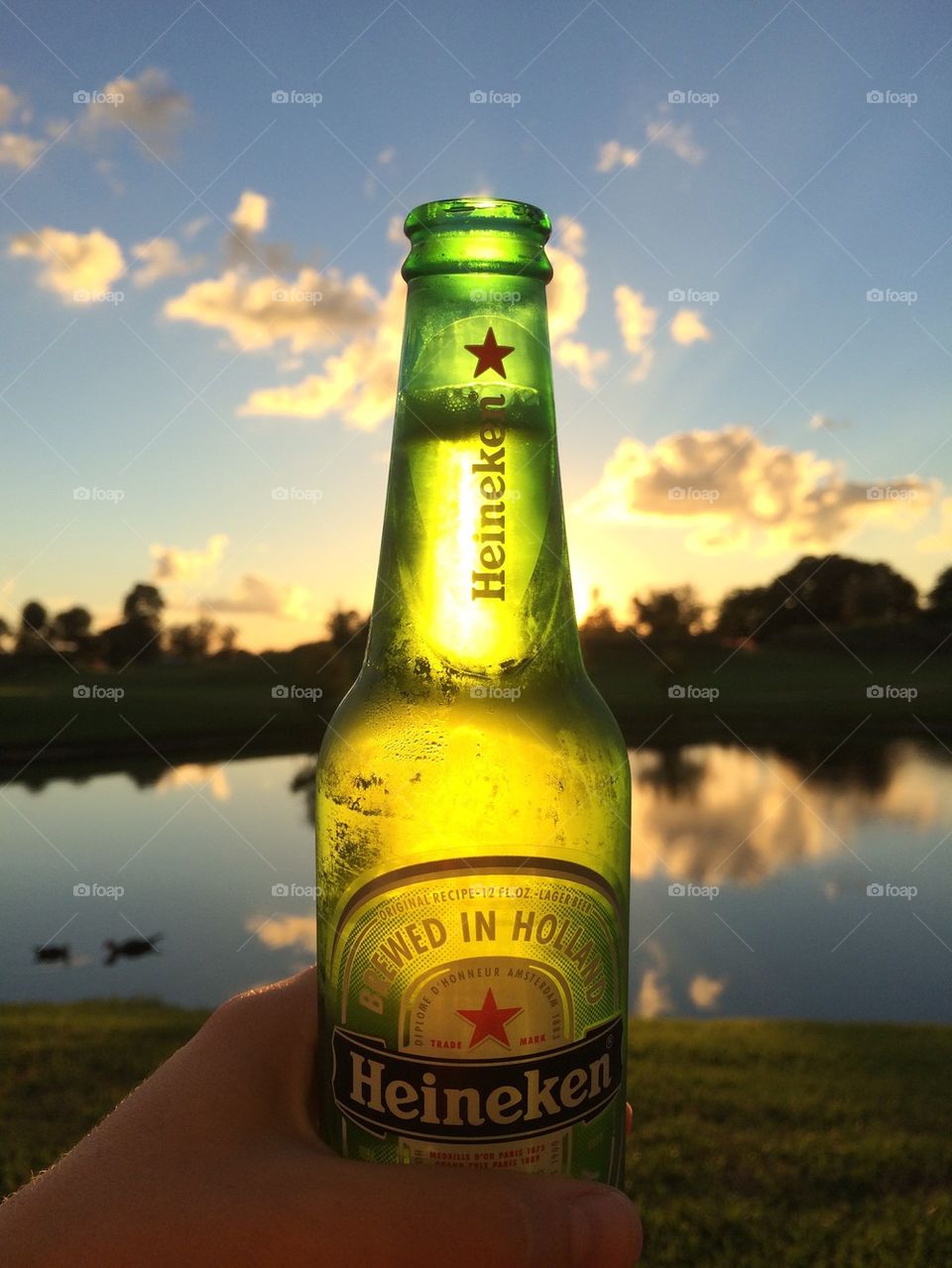 Heineken 