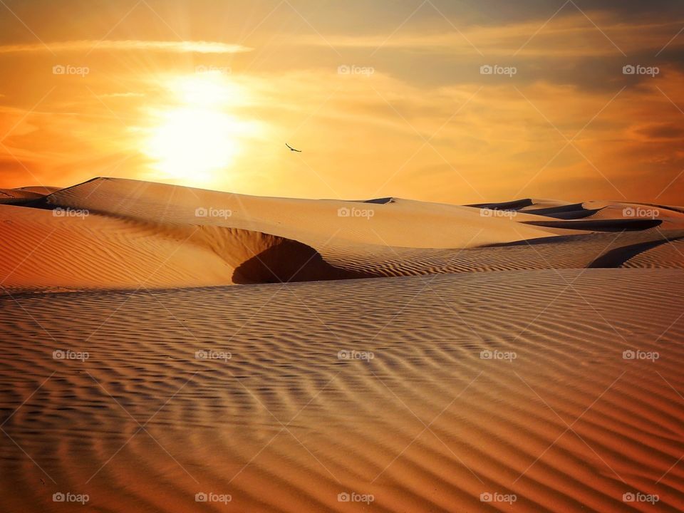 Sunset, Sand, Dawn, Dune, Desert