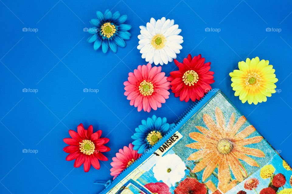 Color Love - Flat lay of Gerbera daisies and a colorful floral-print zipper bag with blue trim on a bright blue background 