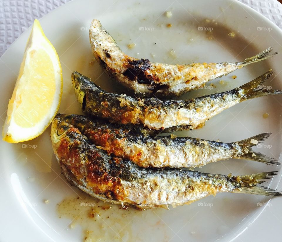 High angle view of sea food