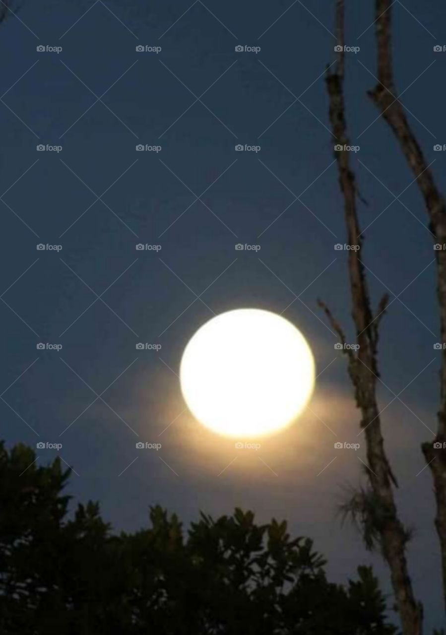 Lua cheia Bela imagem