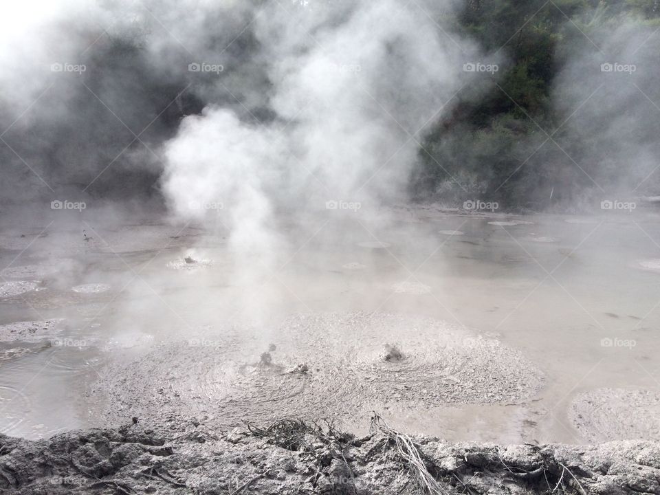 Mud pools . Thermal mud pools in New Zealand 