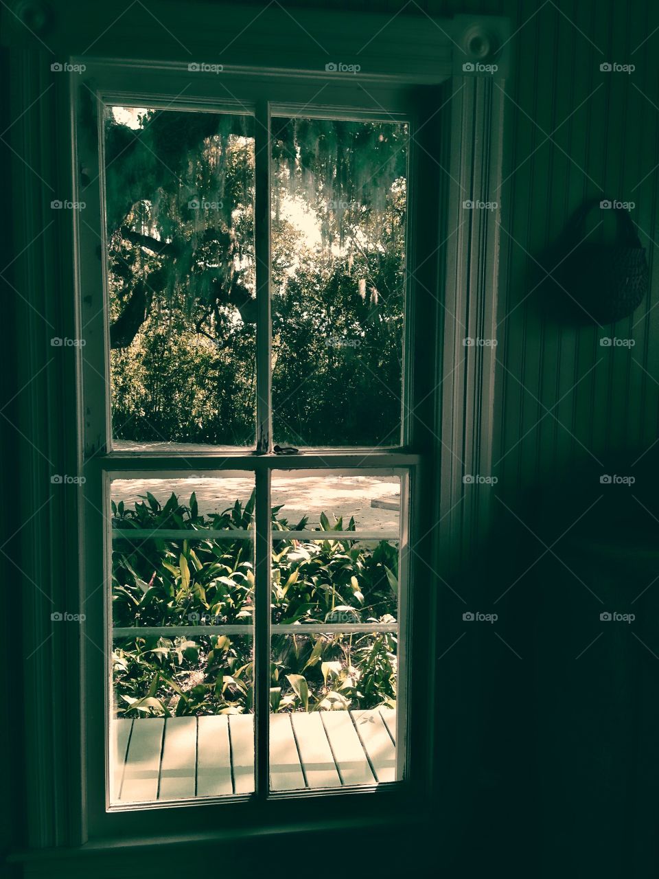 A lovely view from the window of an antebellum home.