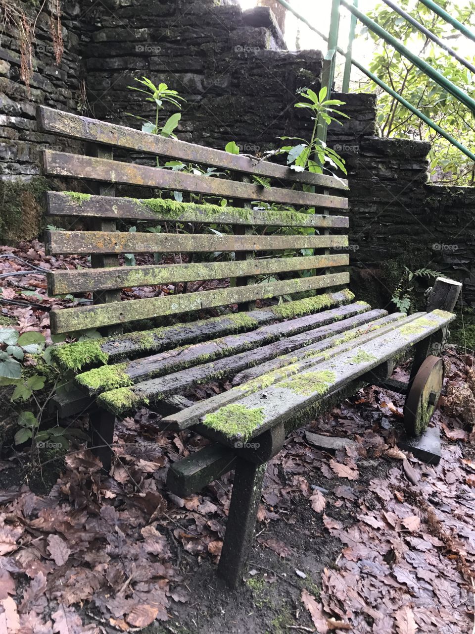 Natures Bench