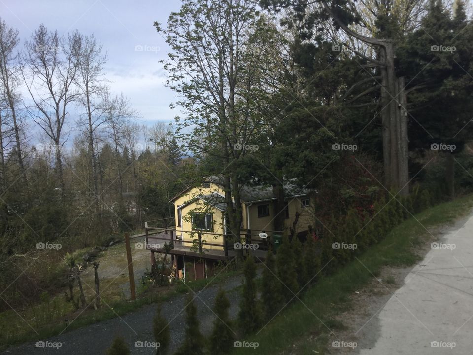 Old Home in a remote part of the Country 