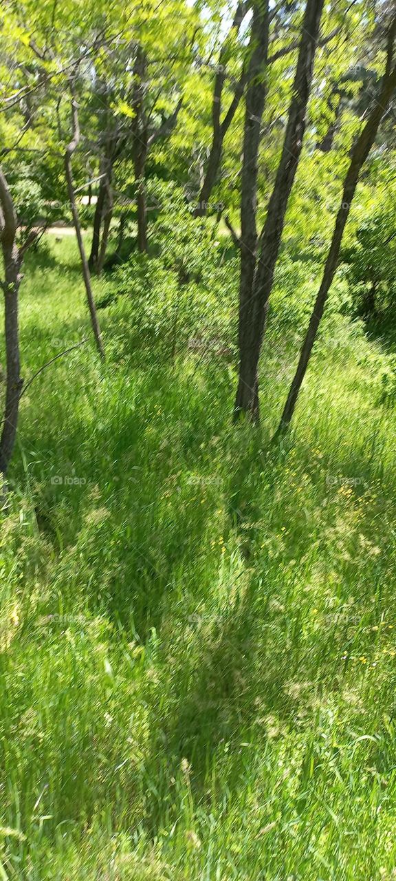 miracle nature pictures