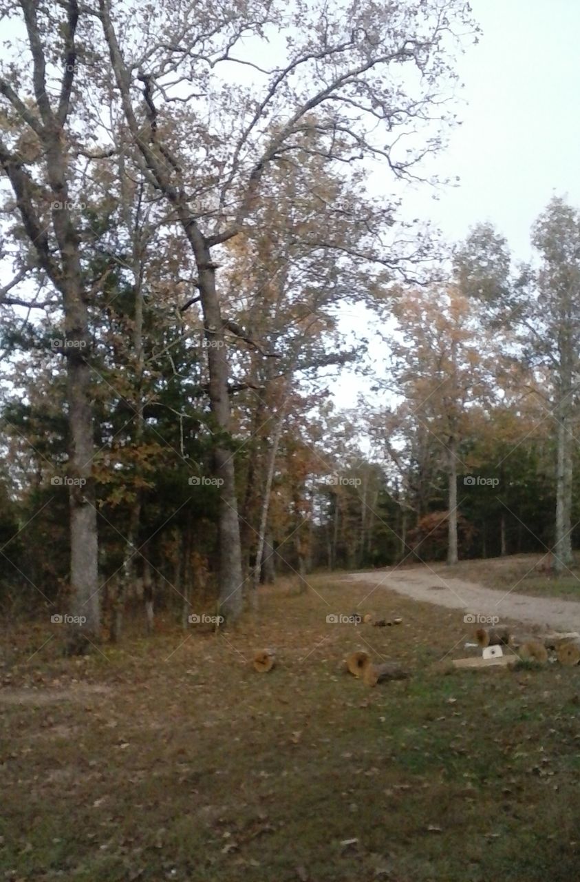 .more of the drive way