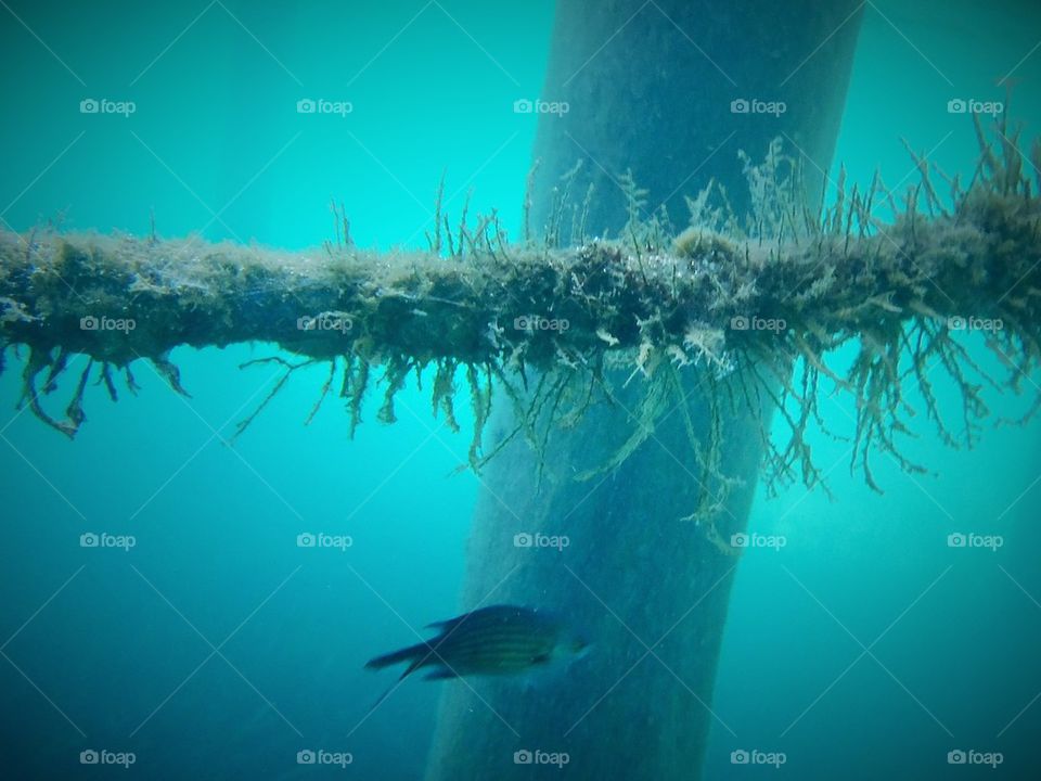 Snorkelling in Turkey