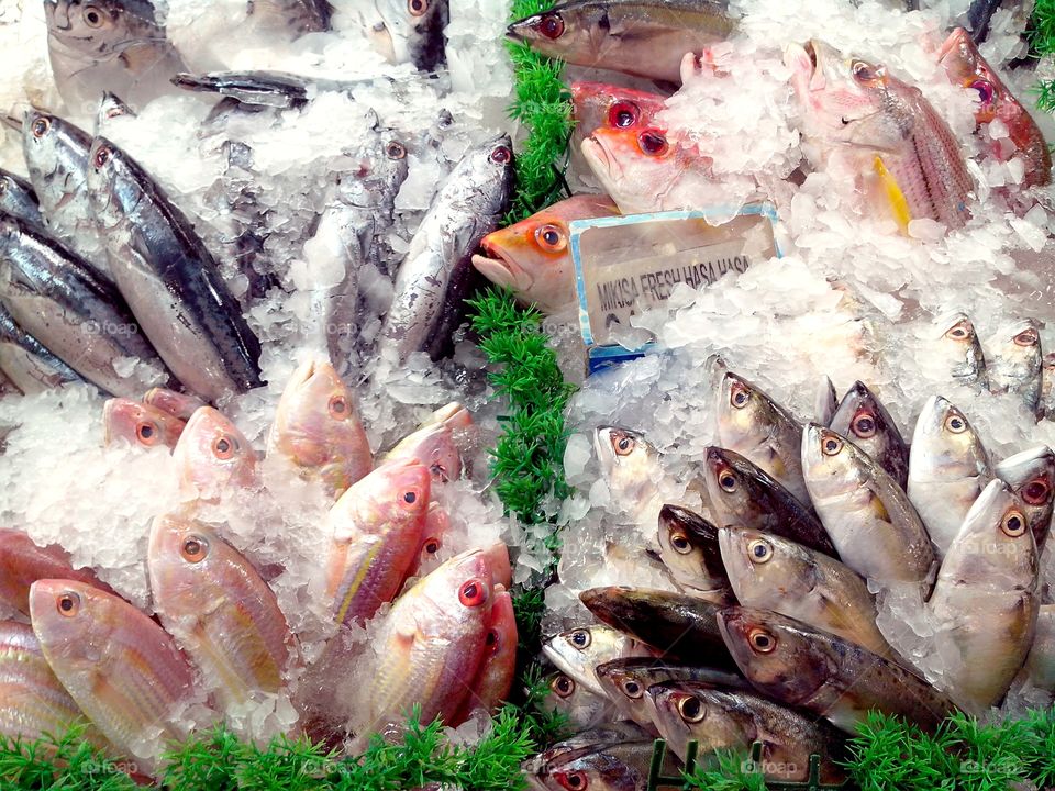 fresh raw fishes. fresh raw fishes sold at a supermarket