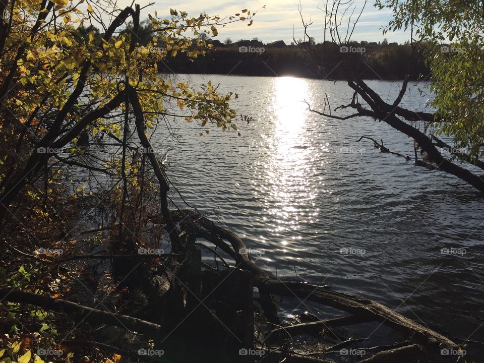 river in autumn. sun glare on the water