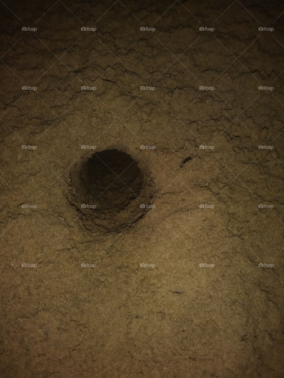 this photograph is a close up of a crawdad hole on the beach at night