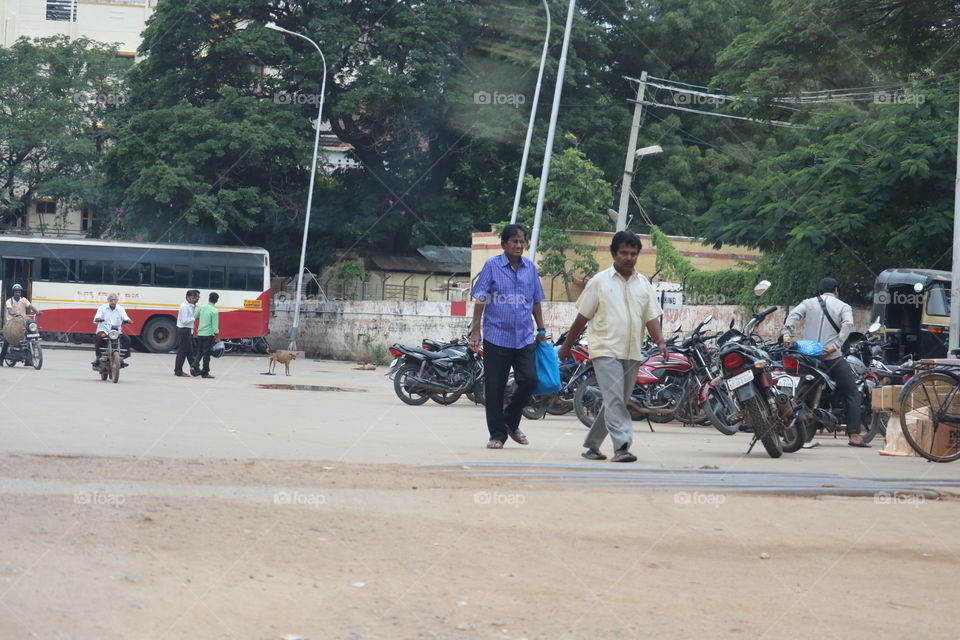 Vehicle, People, Road, Accident, Transportation System