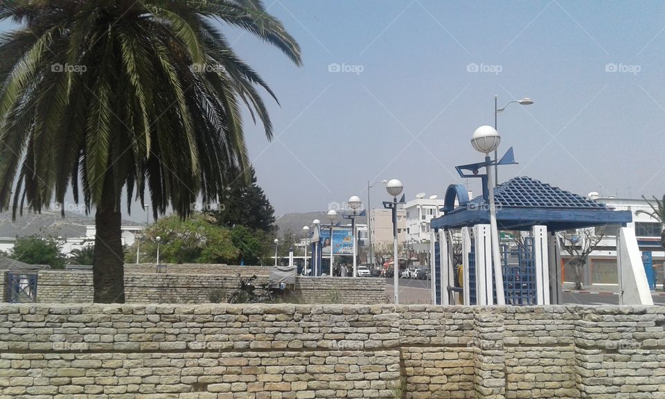 Agadir city Palm