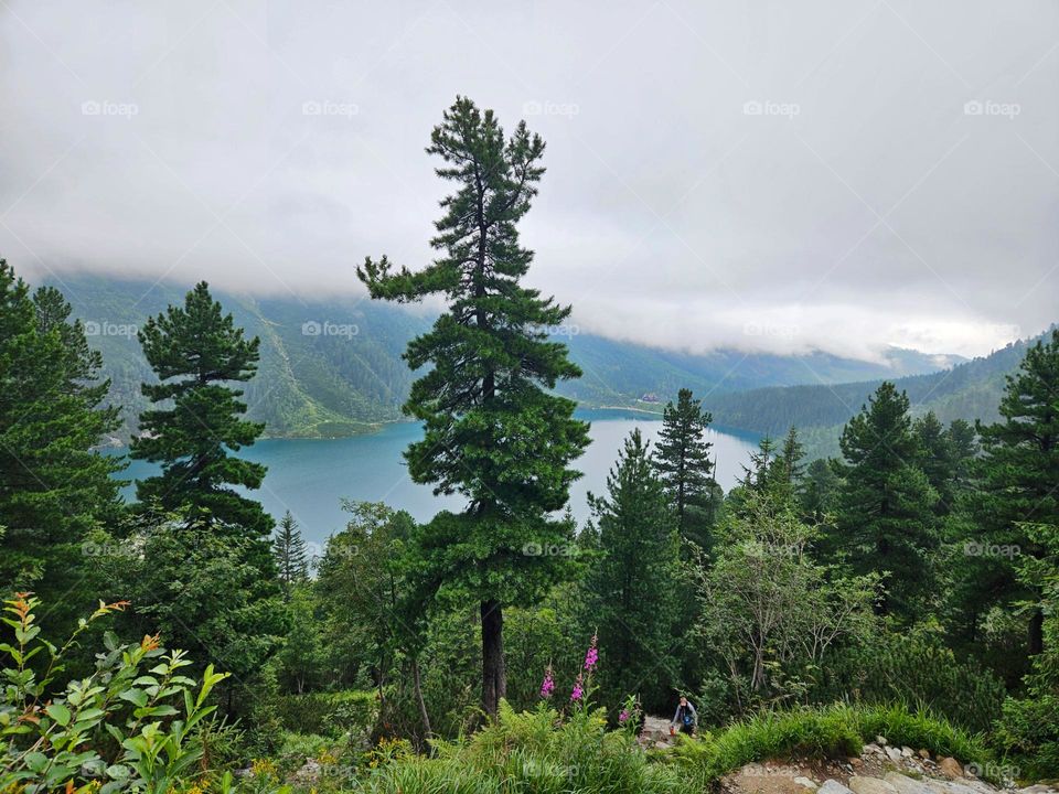 Mountain lake in sumertime