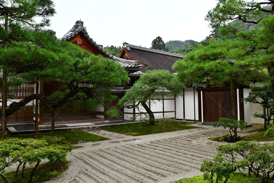 Japanese garden and pagoda