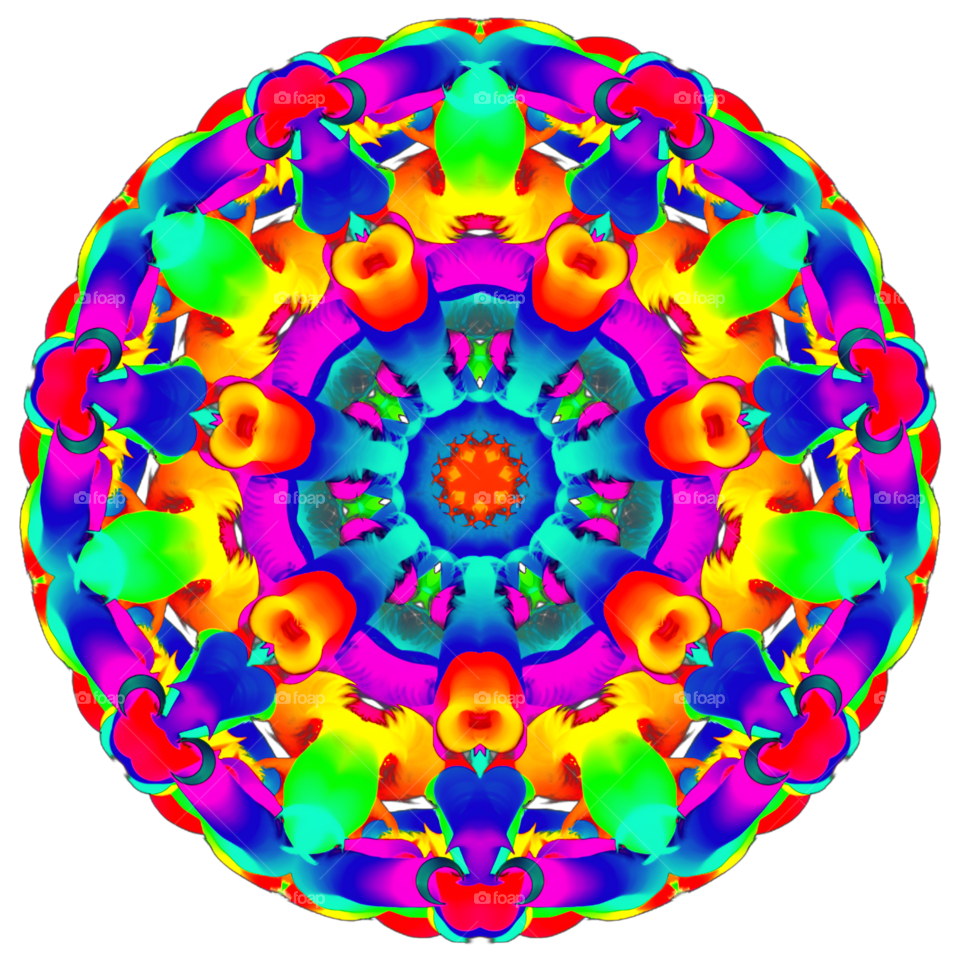 Beauty Full Ornamet 001