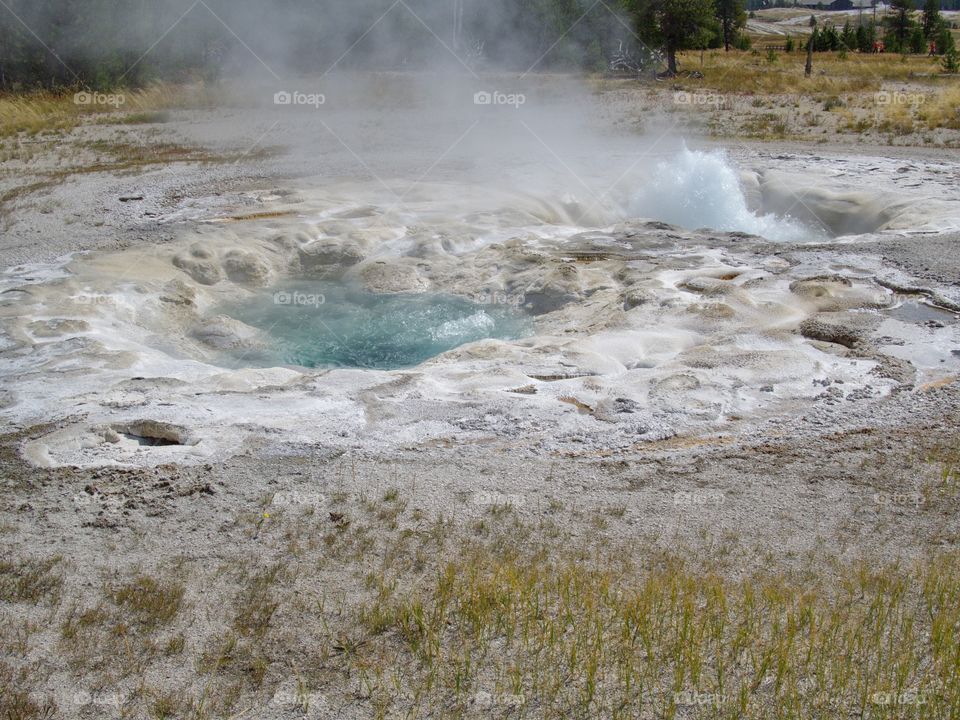 A beautiful pair of geysers on Geyser Hill in Yellowstone National Park boiling as it erupts on a sunny summer day. 