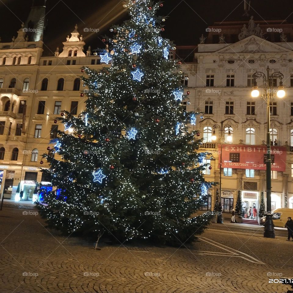 Prague Christmas Tree