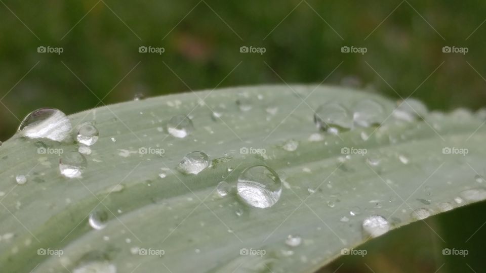 Perfectly Round Drops