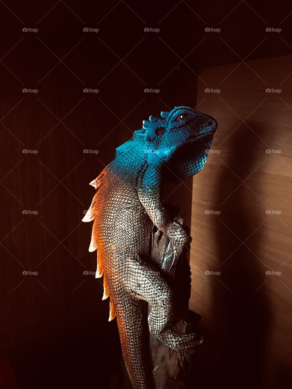 Animal, Iguana, Wood