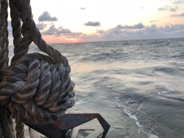 Anker handling 
