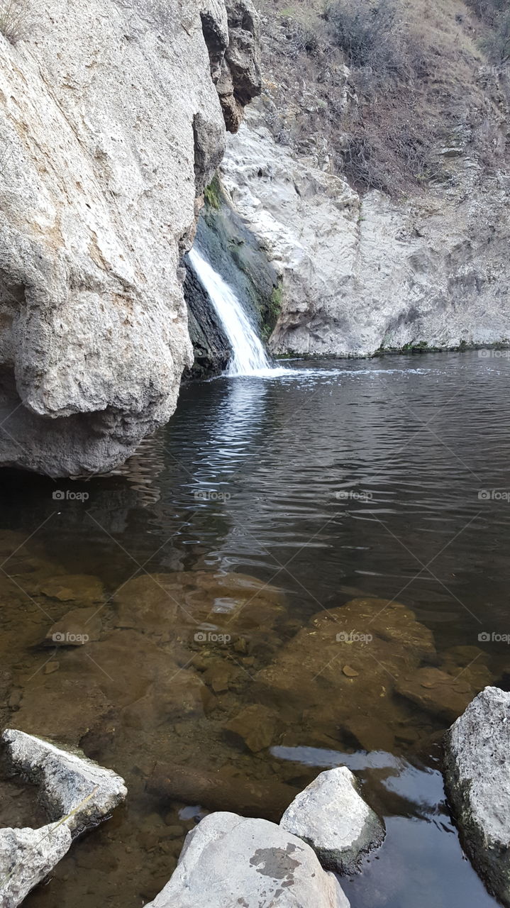 grays in our hike